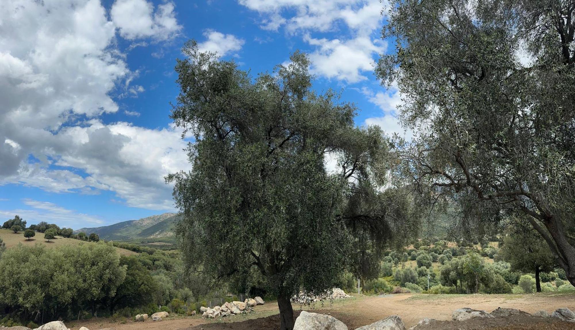 La Casa D'Ange Bergerie De Luxe Villa Lama Buitenkant foto